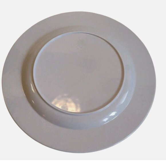 Tommy Bahama Sea Turtle Ocean Turquoise Green Tropical 11” Melamine Plates Set 4 - Picture 5 of 6